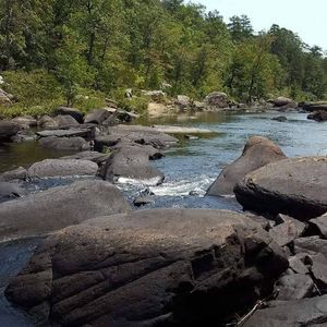 Meet your Posher, Manuel